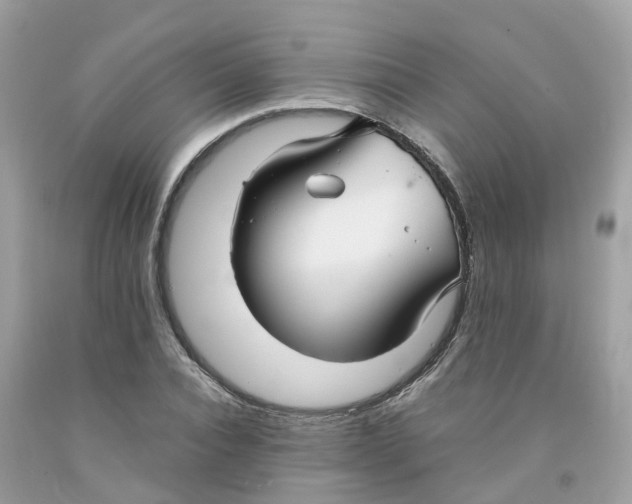 X0000091080928200709041237