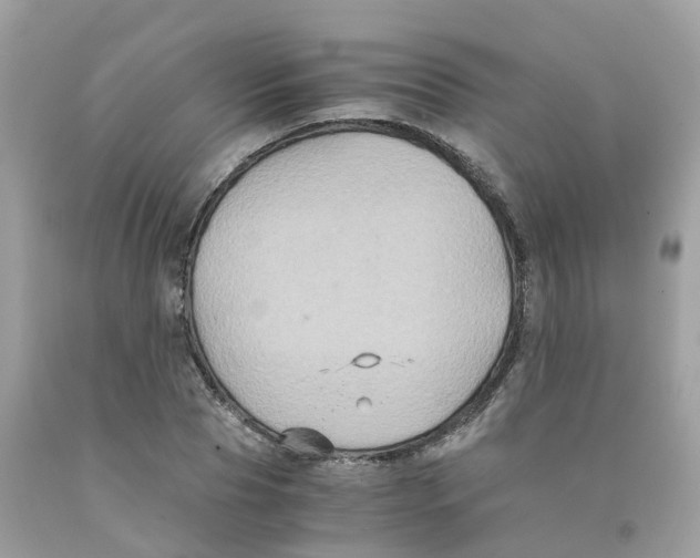 X0000091080929200709041237