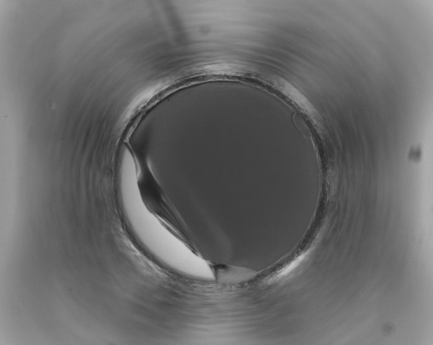 X0000091080930200709041238