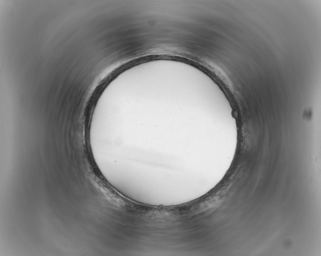 X0000091080931200709041238