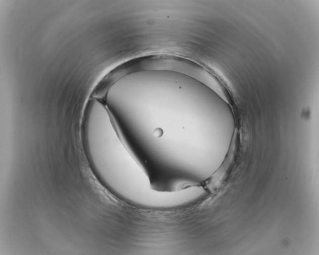 X0000091080932200709041238