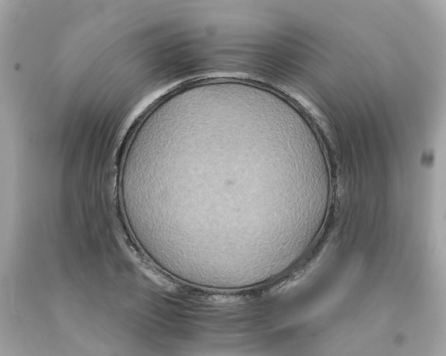 X0000091080933200709041238