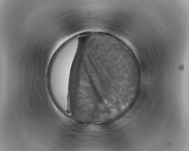 X0000091080935200709041238