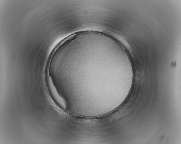 X0000091080936200709041238