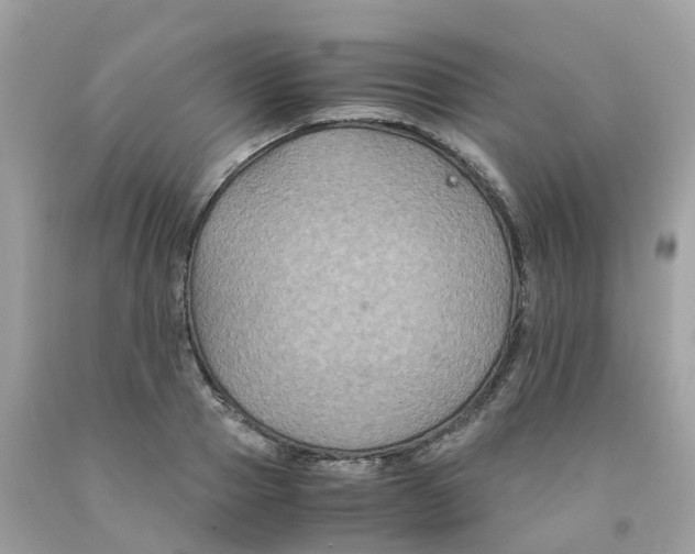 X0000091080937200709041238