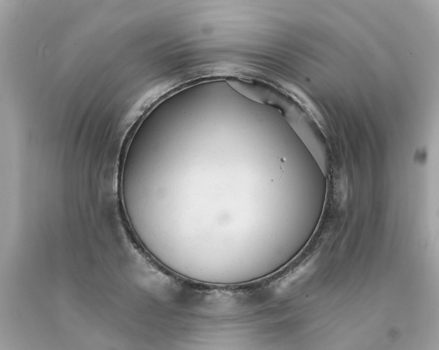 X0000091080938200709041238