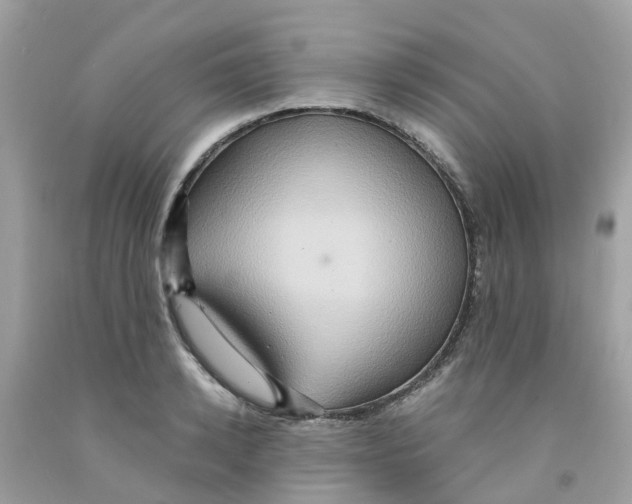 X0000091080942200709041238