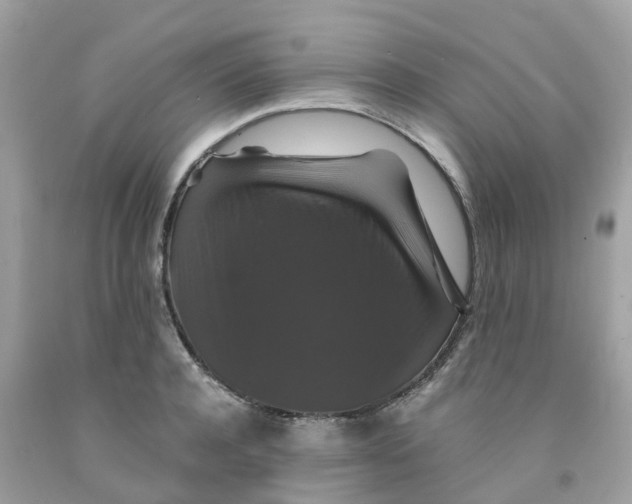 X0000091080944200709041238