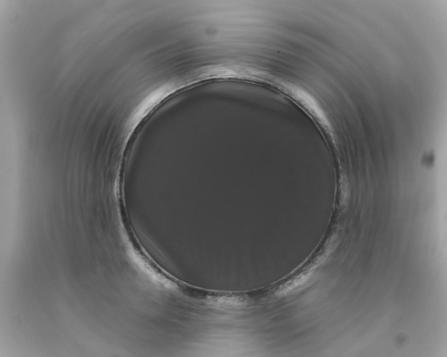 X0000091080946200709041238