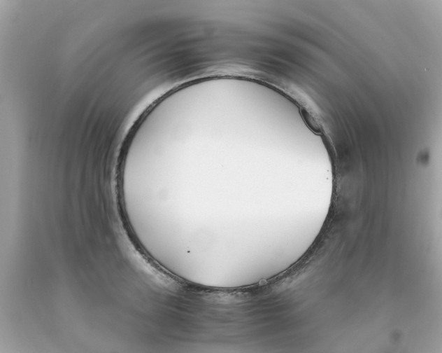 X0000091080947200709041238