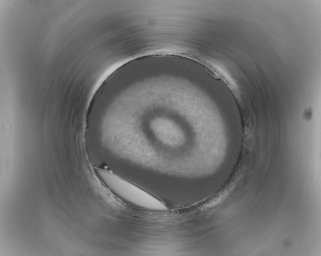 X0000091080948200709041238