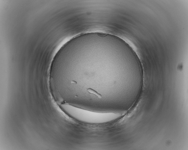 X0000091080949200709041238