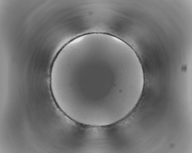 X0000091080950200709041238