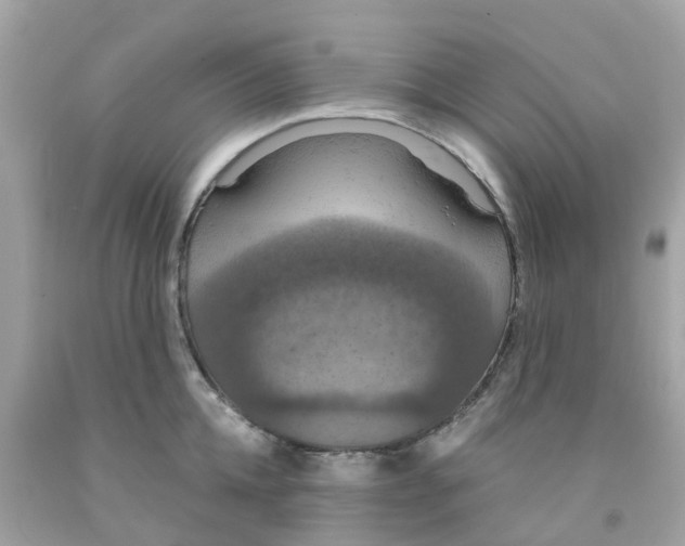 X0000091080952200709041238