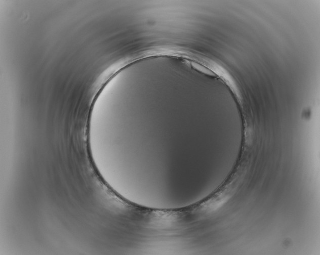 X0000091080954200709041238