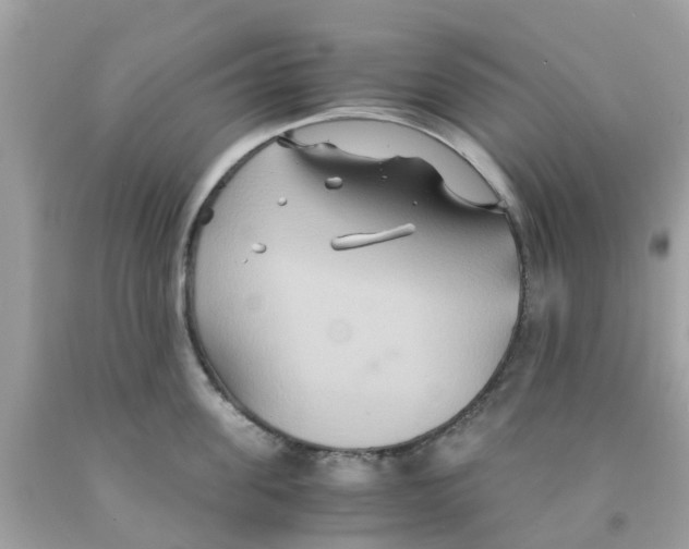 X0000091080955200709041238