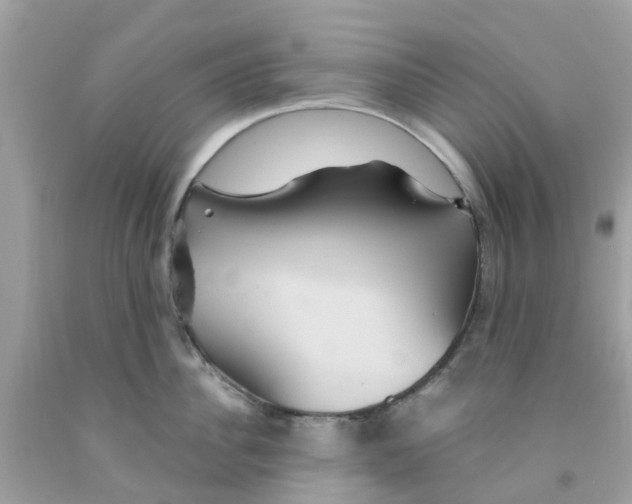 X0000091080956200709041238