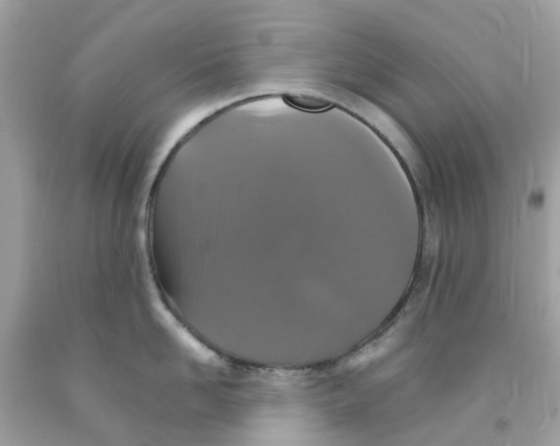 X0000091080958200709041238