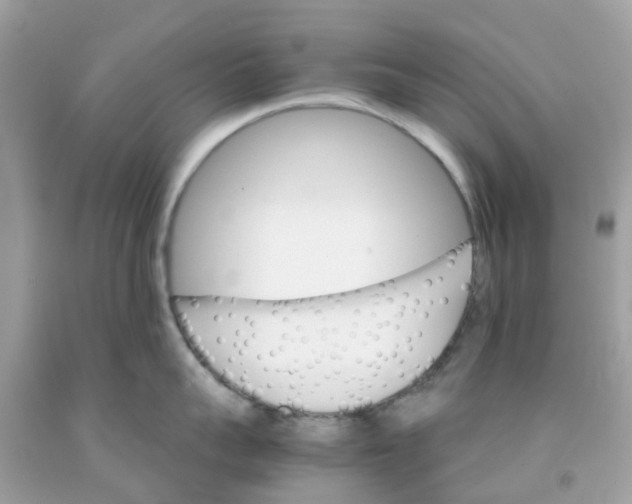 X0000091080959200709041238