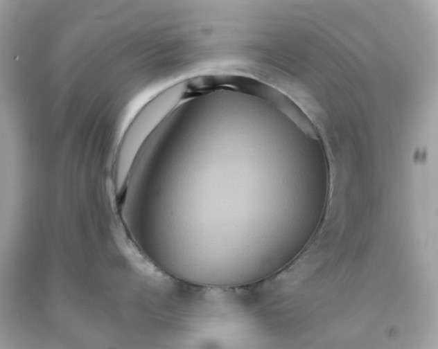 X0000091080960200709041238