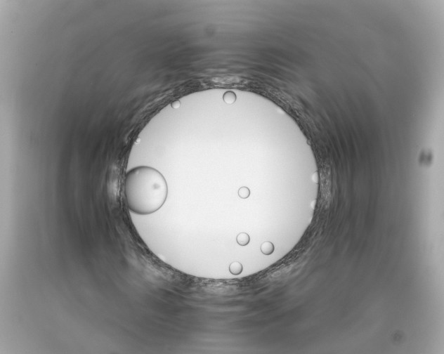 X0000091080962200709041237