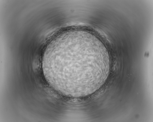 X0000091080966200709041237