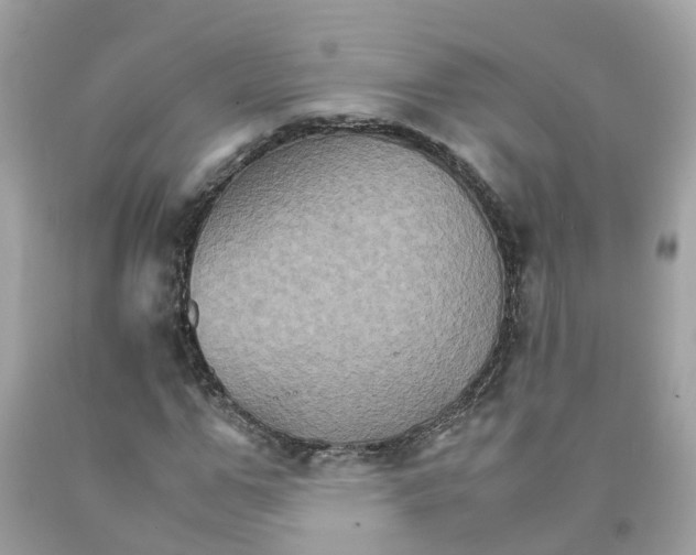 X0000091080967200709041237