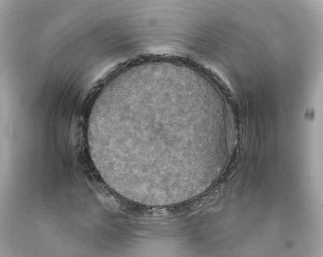 X0000091080968200709041237