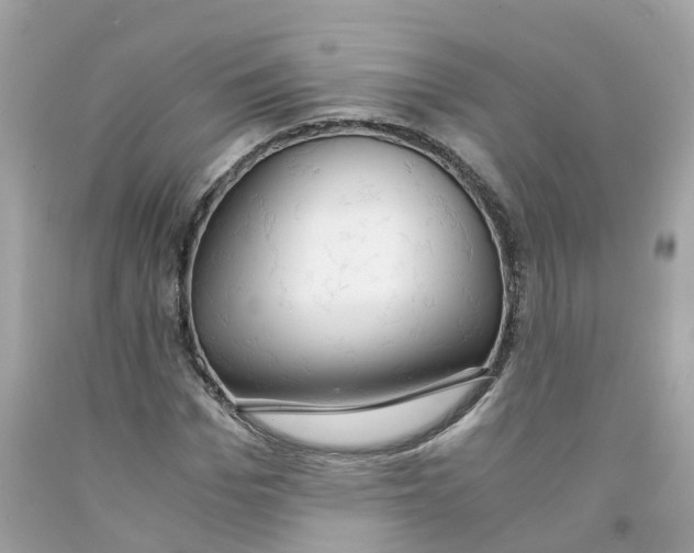 X0000091080969200709041237