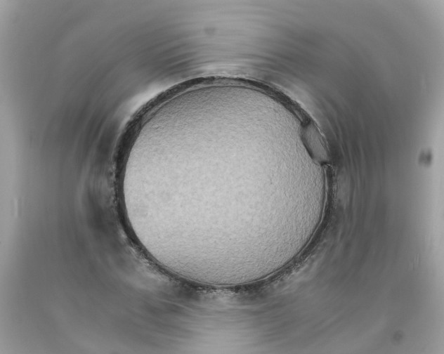 X0000091080971200709041237