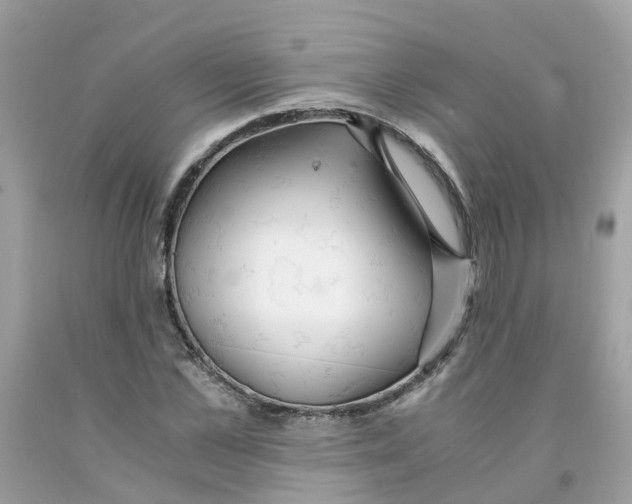 X0000091080973200709041237