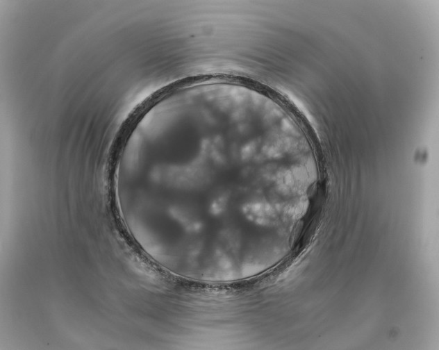 X0000091080975200709041237