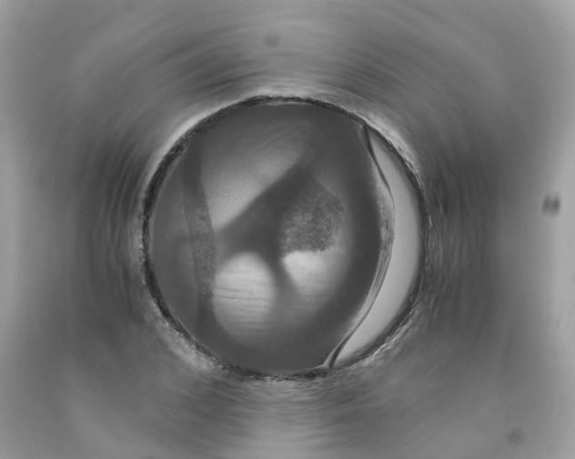 X0000091080976200709041237