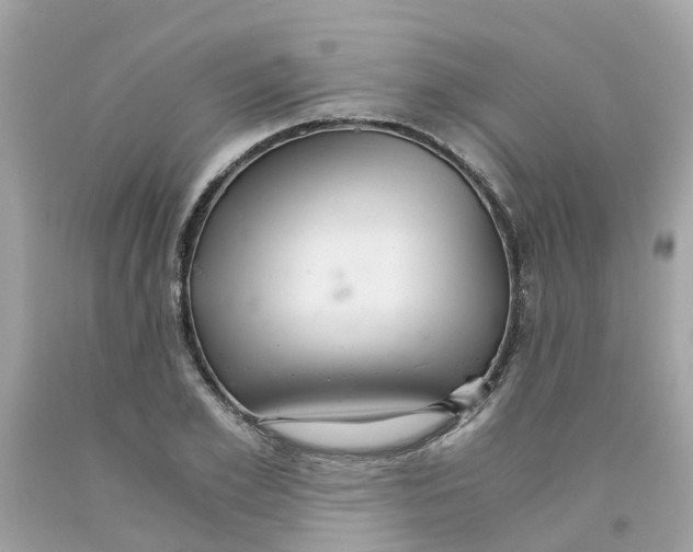 X0000091080981200709041237