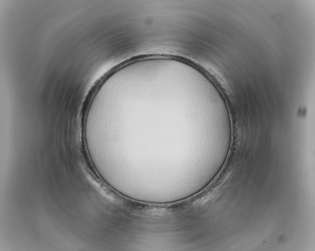 X0000091080982200709041237