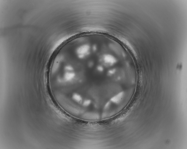 X0000091080983200709041237