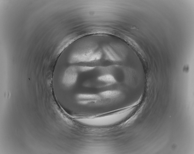 X0000091080985200709041237