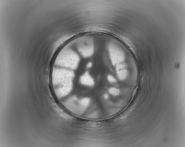 X0000091080987200709041237