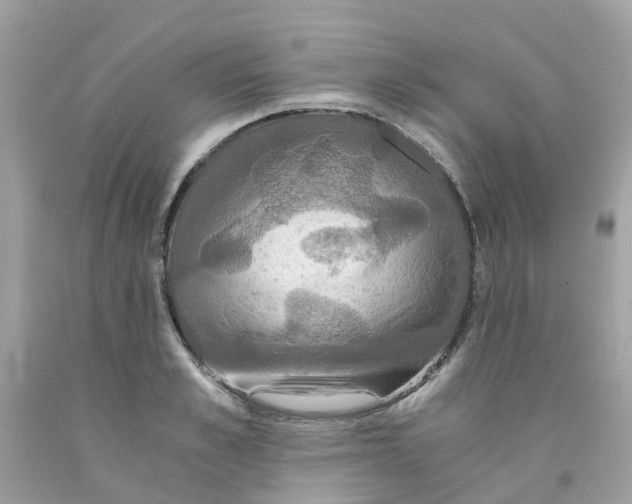 X0000091080989200709041237