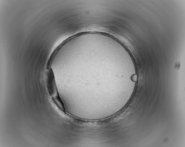 X0000091080990200709041237