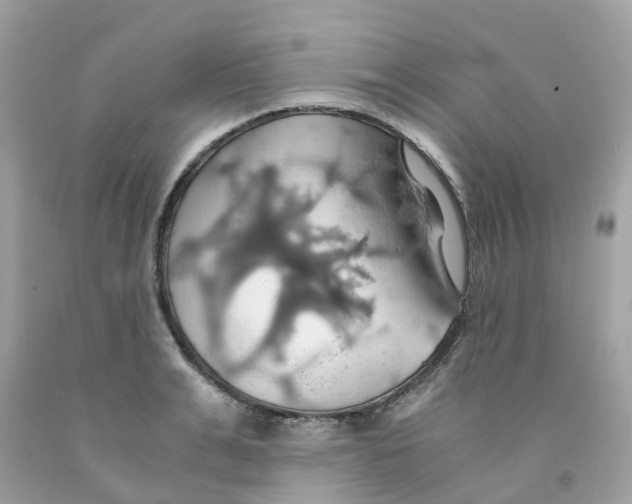 X0000091080991200709041237