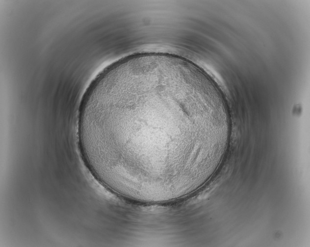 X0000091080992200709041237