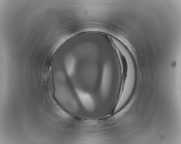 X0000091080993200709041237