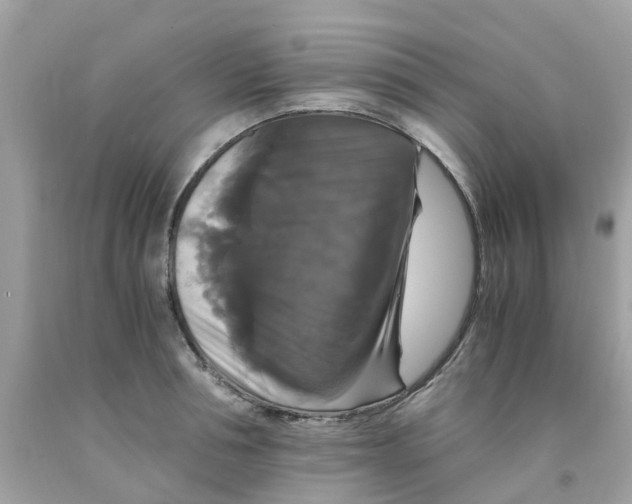 X0000091080994200709041237