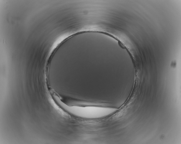 X0000091080998200709041237