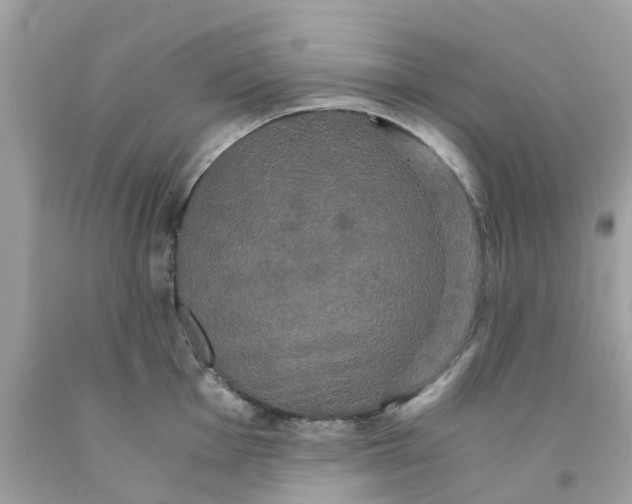 X0000091081001200709041237