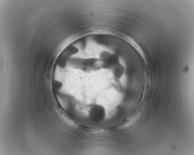 X0000091081002200709041237