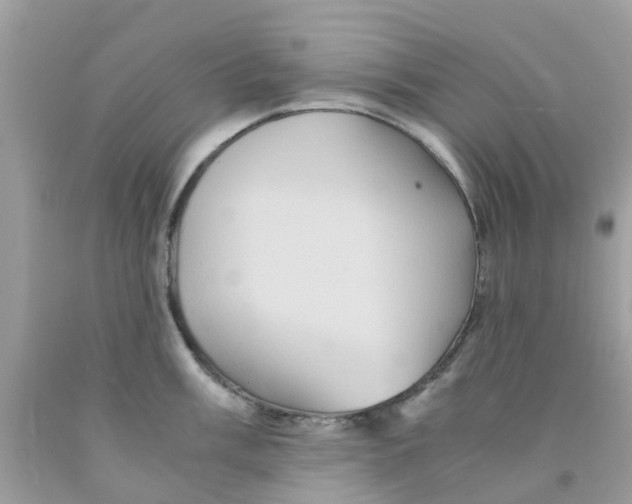 X0000091081003200709041237