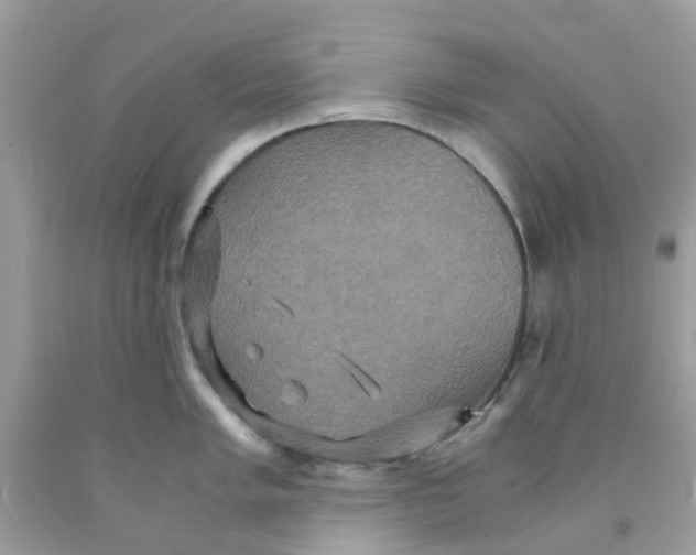 X0000091081005200709041237