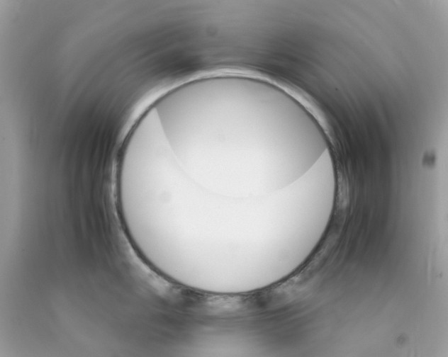 X0000091081006200709041237